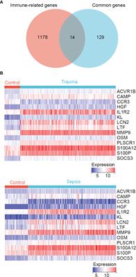 Identification of Immune-Related Genes Concurrently Involved in Critical Illnesses Across Different Etiologies: A Data-Driven Analysis